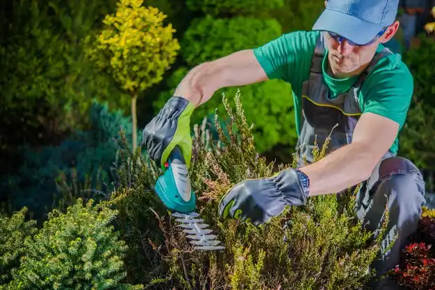 landscaping services Corning